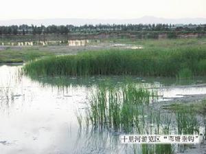 雲崗國家森林公園