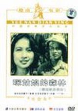 《琛姑娘的森林》 《琛姑娘的森林》