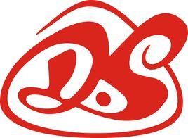 上海大速電機有限公司 上海大速電機有限公司