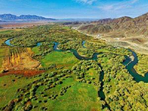 新疆布爾根河狸國家級自然保護區 新疆布爾根河狸國家級自然保護區