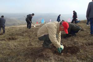 （圖）幸福家園——網植計畫