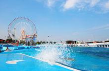 魅力贛江天然游泳場