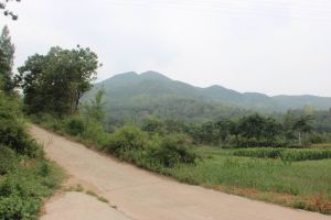 壹號莊園基地之一 &middot; 張門基地 