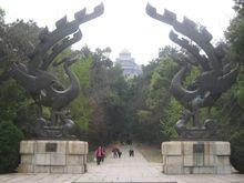 楚天台 衡陽市劉安中拍