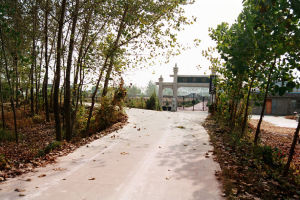 五河清墓 五河清墓