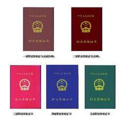 保險代理從業人員 保險代理從業人員