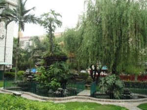 半仙山村 半仙山村