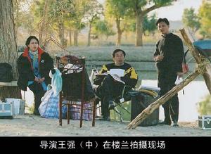 王強[南京師範大學教授，國家一級導演]