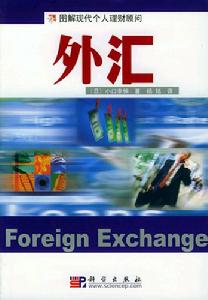 直接外匯管制--個人理財