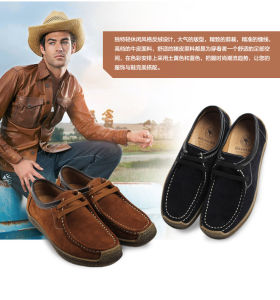 大洋洲&middot;袋鼠