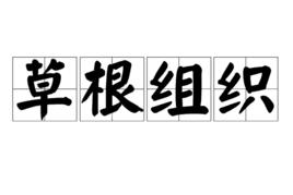 草根組織 草根組織