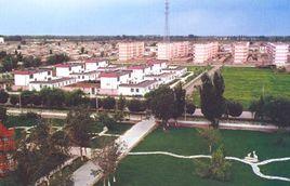 新疆生產建設兵團農七師一二三團 新疆生產建設兵團農七師一二三團