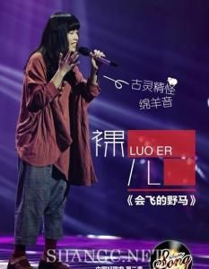 會飛的野馬 會飛的野馬