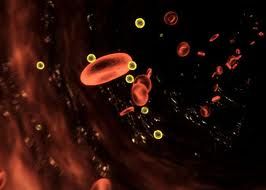 牛巴貝斯焦蟲病 牛巴貝斯焦蟲病