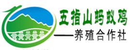 五指山螞蟻雞—養殖合作社 五指山螞蟻雞—養殖合作社