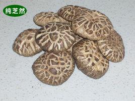 紅菱花菇 紅菱花菇