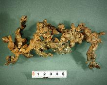 中國地質博物館自然銅藏品圖片