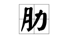 肋[漢字]