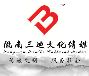 隴南三迪文化傳媒有限公司