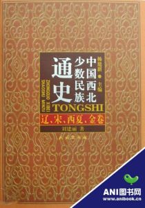 《中國西北少數民族通史·遼、宋、西夏、金卷》