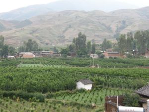 金波苓村 金波苓村