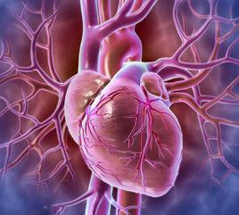 慢性心肌炎 慢性心肌炎