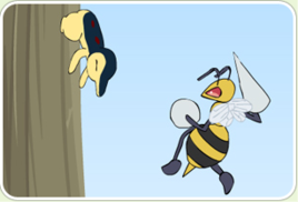 火球鼠的對戰 火球鼠的對戰