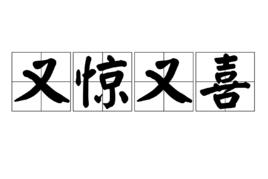 又驚又喜 又驚又喜