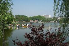 清風徐來，水波不興