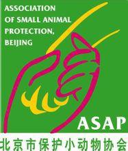 北京市保護小動物協會 北京市保護小動物協會