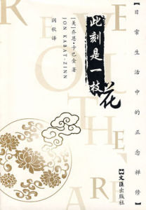 此刻是一枝花 此刻是一枝花