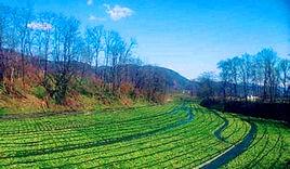 小山鄉[河北省滄州市海興縣下轄鄉]