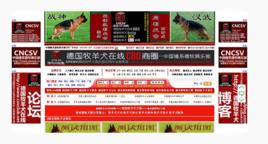 中國民間牧羊犬俱樂部 中國民間牧羊犬俱樂部