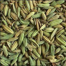 小茴香 小茴香