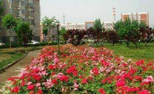 西馬·金潤家園 西馬·金潤家園