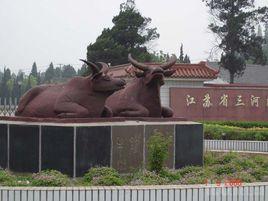 洪澤湖鎮水鐵牛 洪澤湖鎮水鐵牛