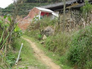 萱草地村 萱草地村