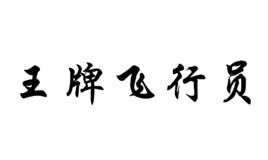 王牌飛行員[街機遊戲]