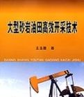 大型砂岩油田高效開採技術 大型砂岩油田高效開採技術