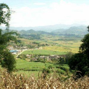 大忙那自然村 大忙那自然村