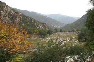 東河子村 東河子村