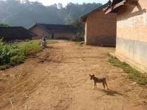 怕練七村 怕練七村