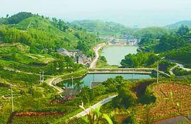 四豐村[浙江餘姚市大嵐鎮四豐村]