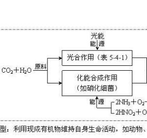 化能合成作用
