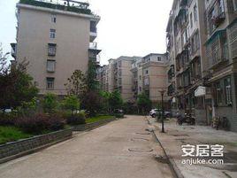 團結新村 團結新村