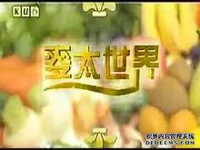 麥太經營的網站“麥太世界”