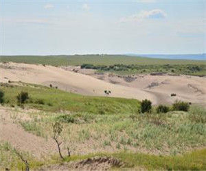 呼倫貝爾沙地 呼倫貝爾沙地