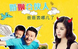 婚姻合伙人 婚姻合伙人