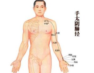 肺經咳嗽 肺經咳嗽