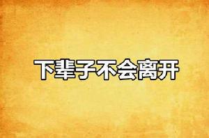 下輩子不會離開 下輩子不會離開